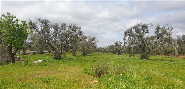 Image No.9-1 Bed Property for sale