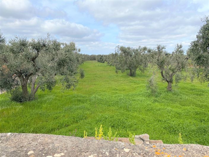 Image No.10-1 Bed Property for sale