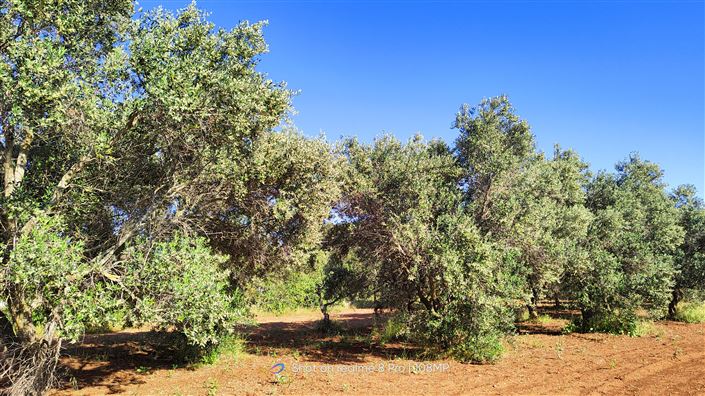 Image No.26-4 Bed Villa for sale