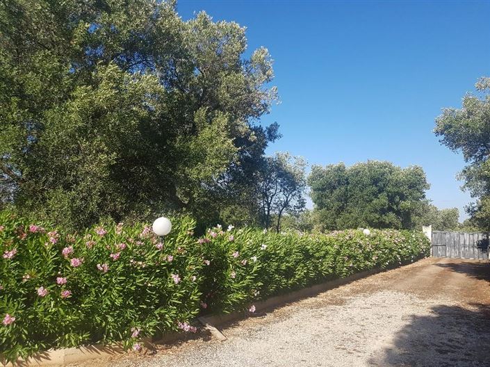 Image No.25-4 Bed Property for sale