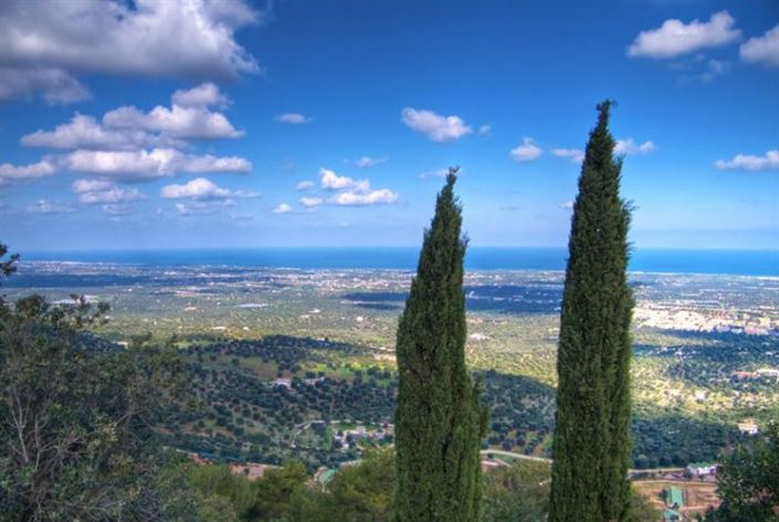 Image No.29-3 Bed Villa for sale