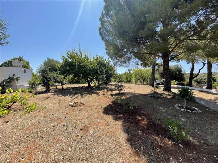 Image No.12-2 Bed Property for sale