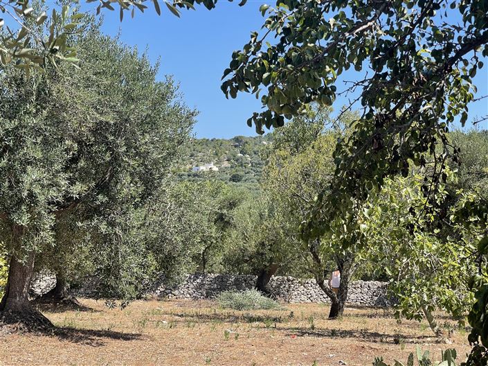 Image No.14-2 Bed Property for sale