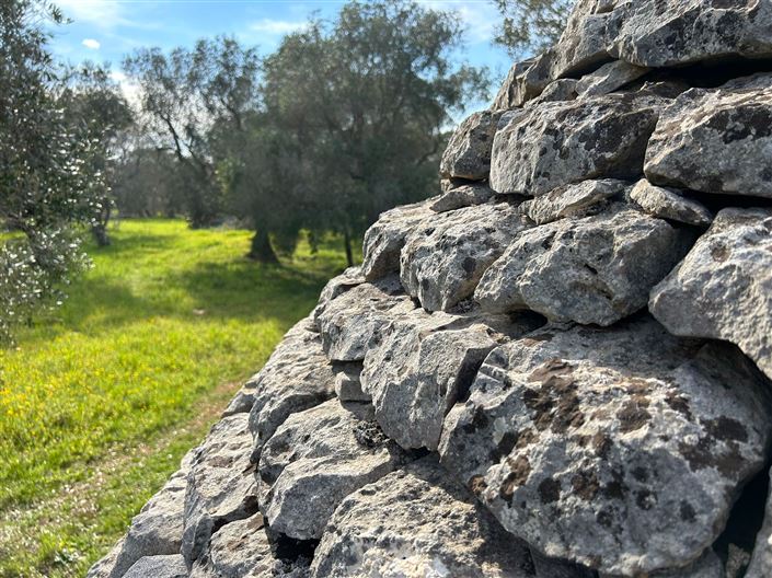 Image No.14-Propriété de 1 chambre à vendre à San Vito dei Normanni
