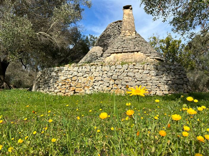 Image No.15-Propriété de 1 chambre à vendre à San Vito dei Normanni