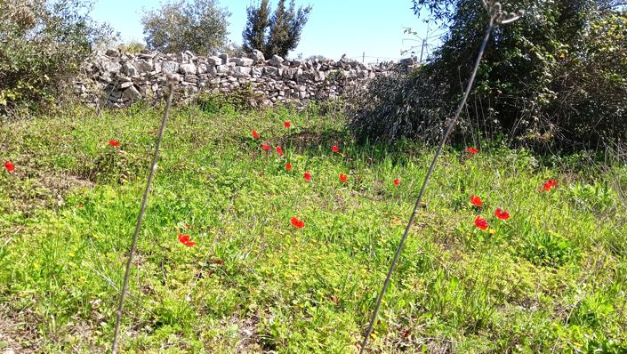 Image No.32-7 Bed Property for sale