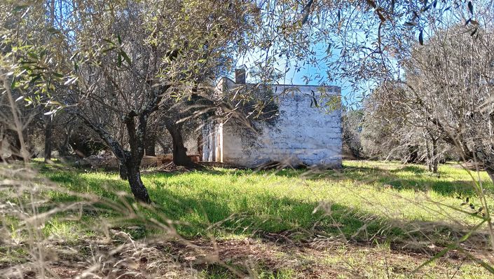 Image No.19-2 Bed Property for sale