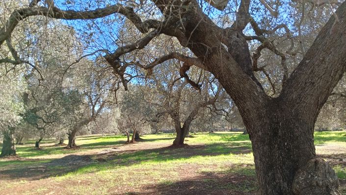 Image No.21-2 Bed Property for sale