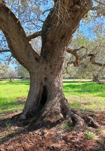 Image No.22-2 Bed Property for sale