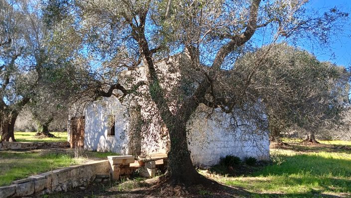 Image No.5-2 Bed Property for sale