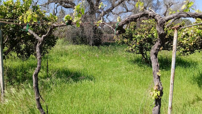 Image No.22-2 Bed Property for sale