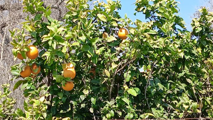 Image No.3-2 Bed Property for sale