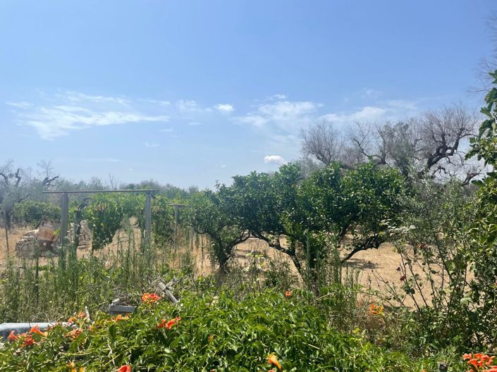 Image No.8-2 Bed Property for sale