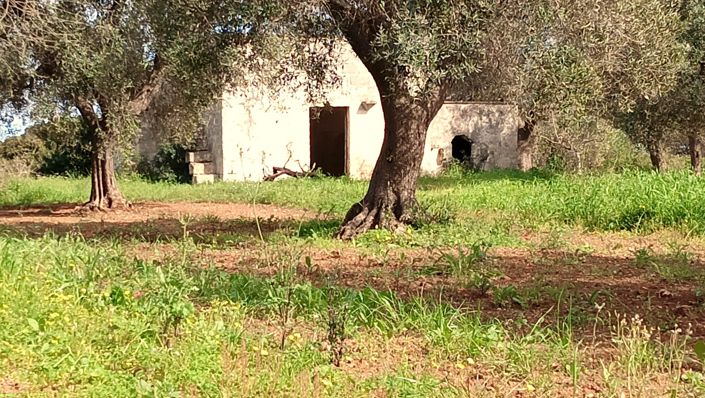 Image No.6-1 Bed Property for sale