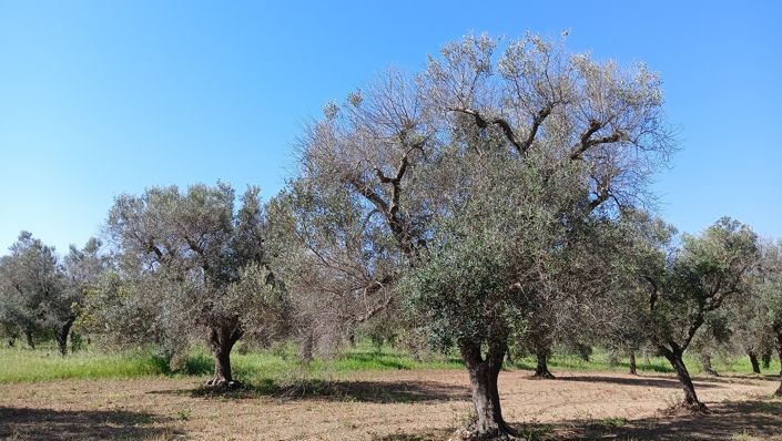 Image No.21-1 Bed Property for sale