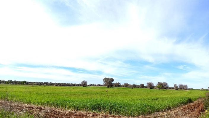 Image No.22-1 Bed Property for sale