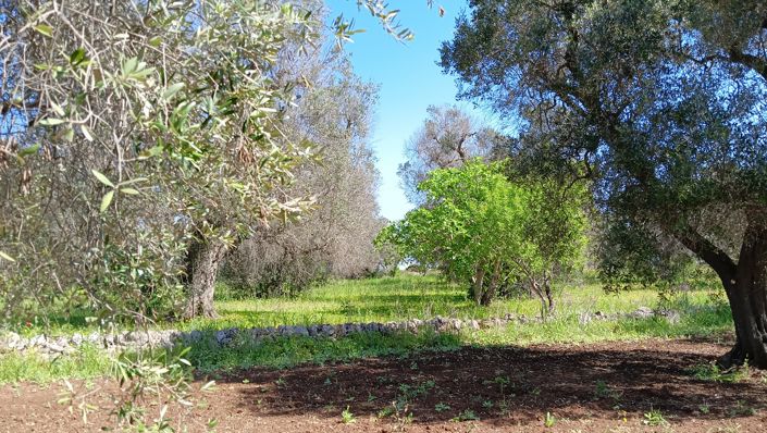 Image No.24-1 Bed Property for sale