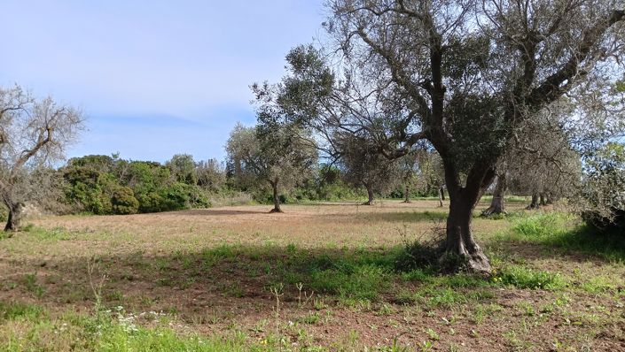 Image No.28-1 Bed Property for sale