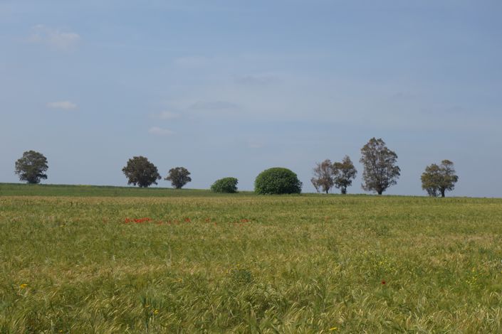 Image No.46-1 Bed Property for sale