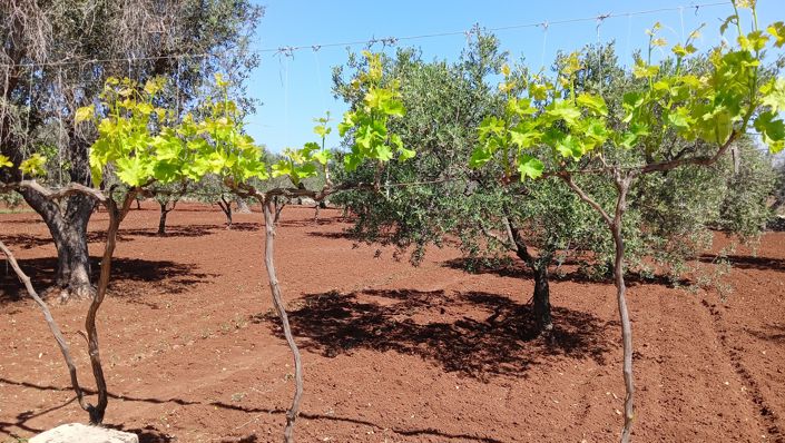 Image No.13-1 Bed Property for sale