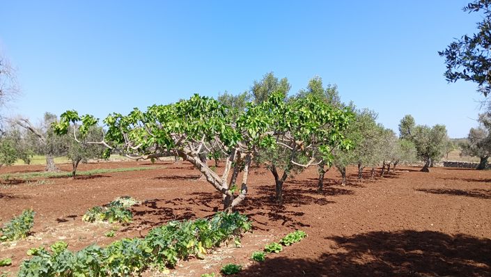 Image No.14-1 Bed Property for sale