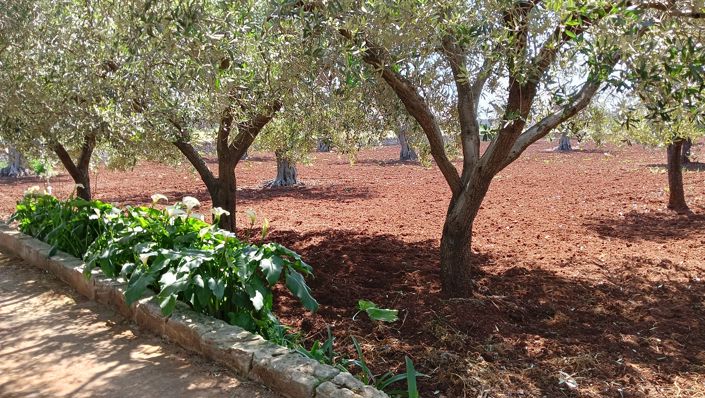 Image No.16-1 Bed Property for sale