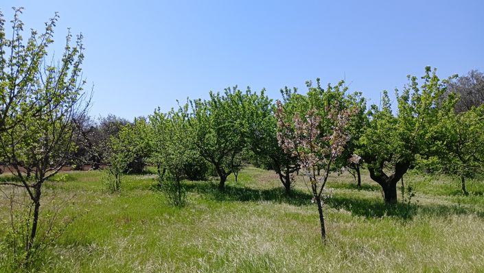 Image No.17-1 Bed Property for sale