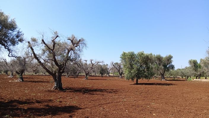 Image No.18-1 Bed Property for sale