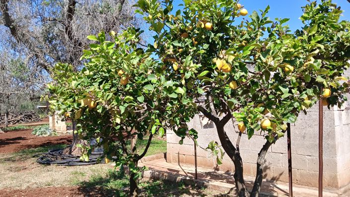 Image No.3-1 Bed Property for sale