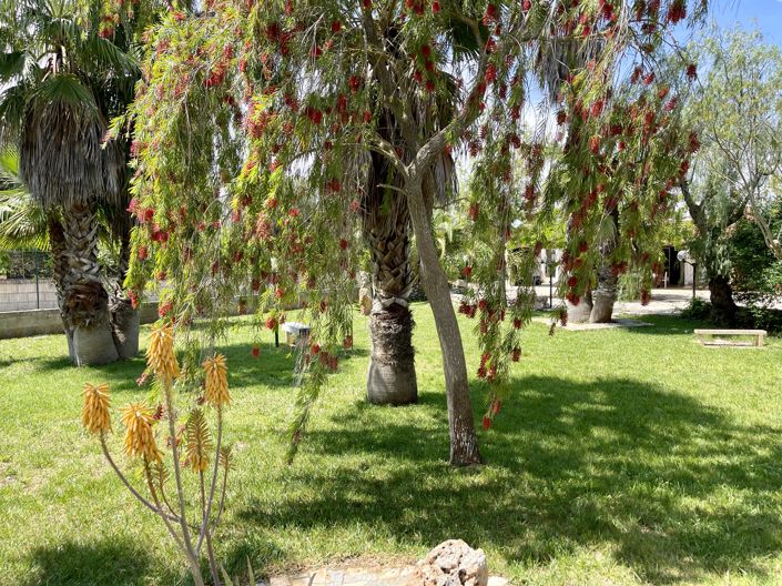 Image No.16-3 Bed Villa for sale