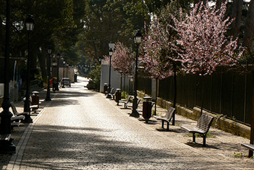 Image No.39-3 Bed Villa for sale