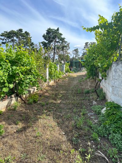 Image No.11-5 Bed Villa for sale