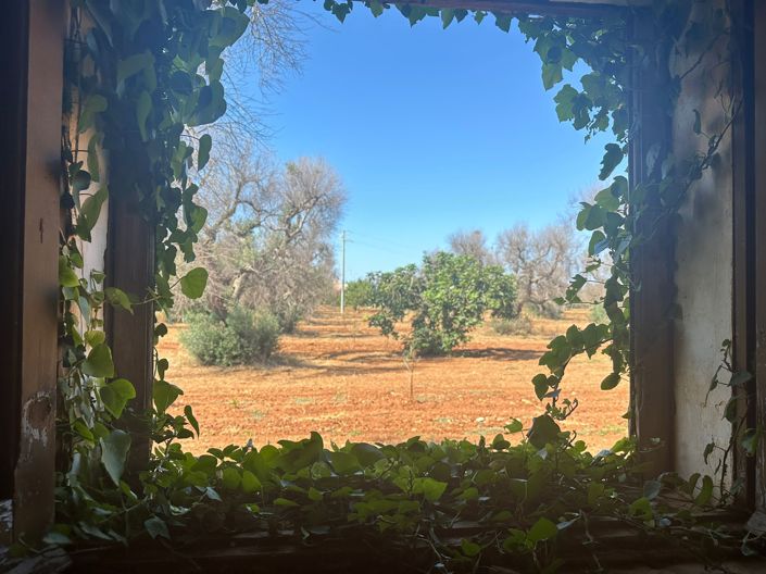 Image No.12-2 Bed Property for sale