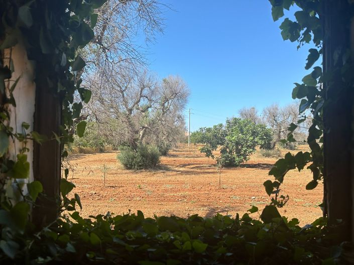 Image No.16-2 Bed Property for sale