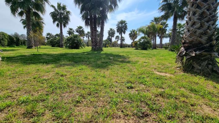 Image No.15-3 Bed Villa for sale