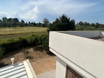 roof-land