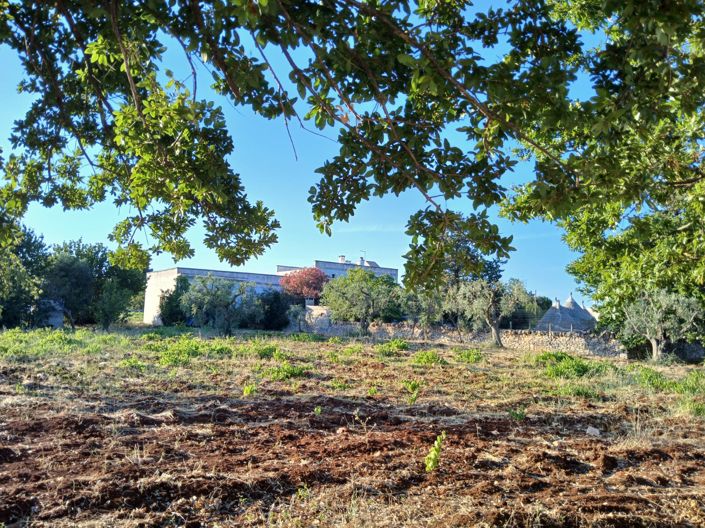 Image No.6-6 Bed Property for sale