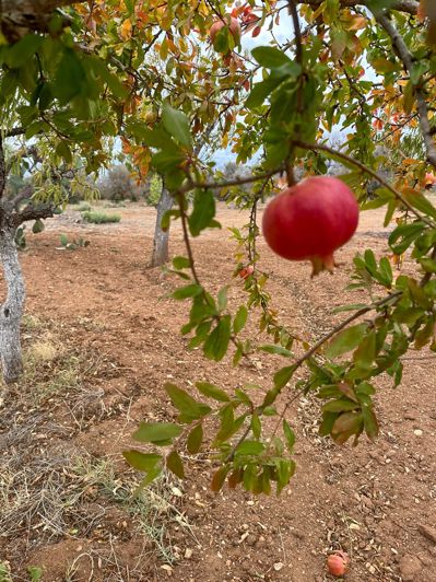 Image No.8-1 Bed Property for sale