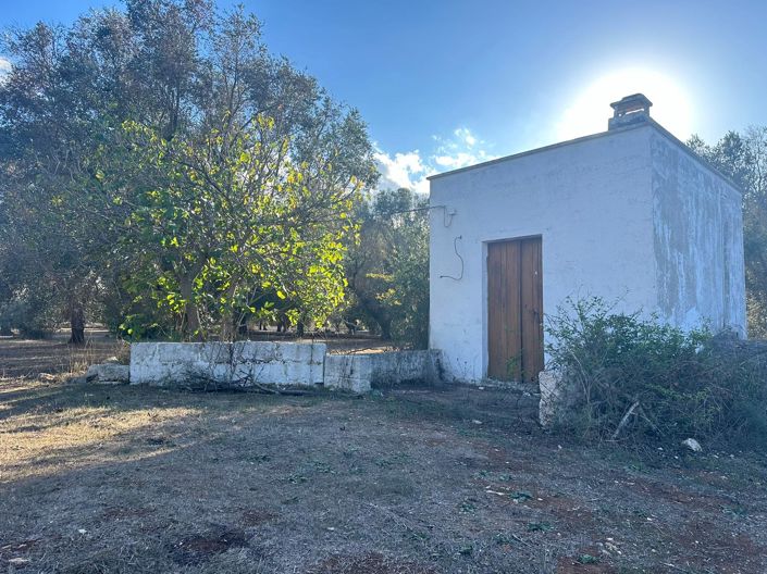 Image No.10-1 Bed Property for sale