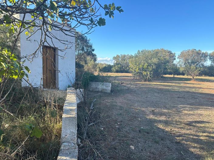 Image No.3-1 Bed Property for sale