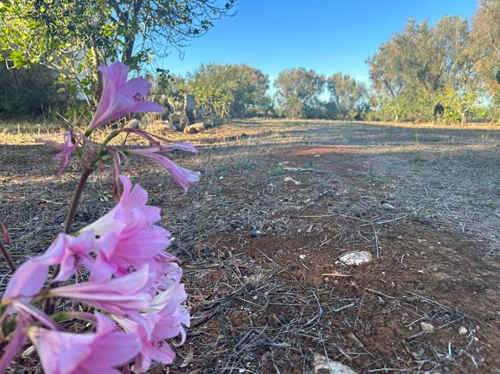 Image No.4-1 Bed Property for sale