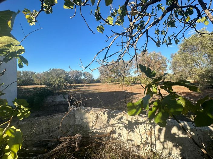 Image No.5-1 Bed Property for sale