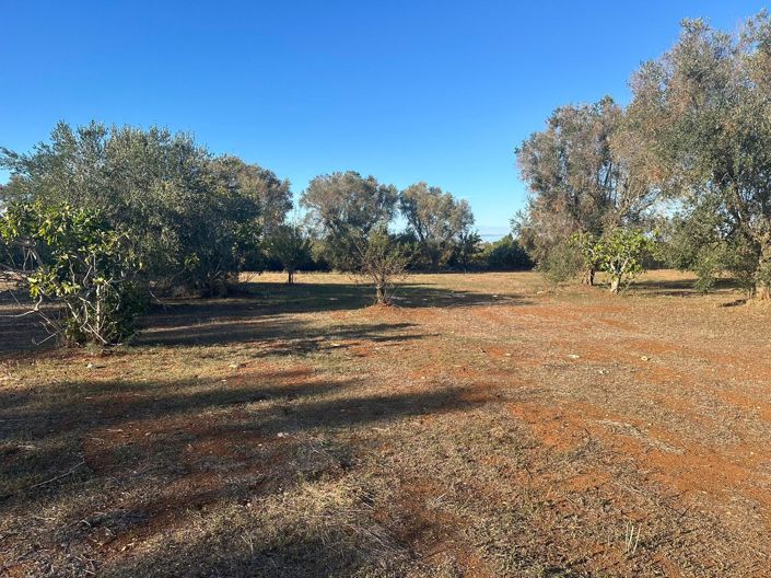 Image No.6-1 Bed Property for sale