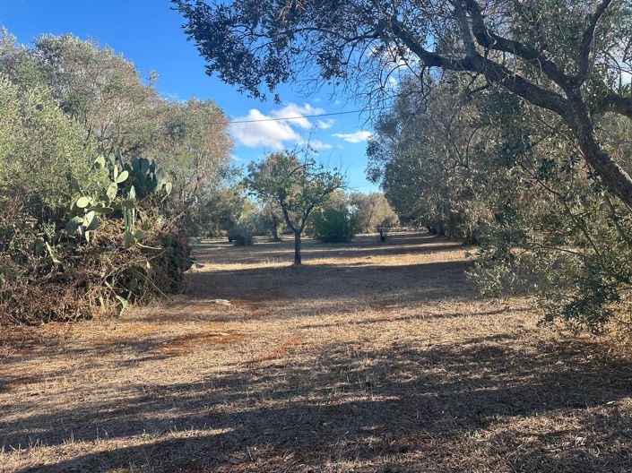 Image No.7-1 Bed Property for sale