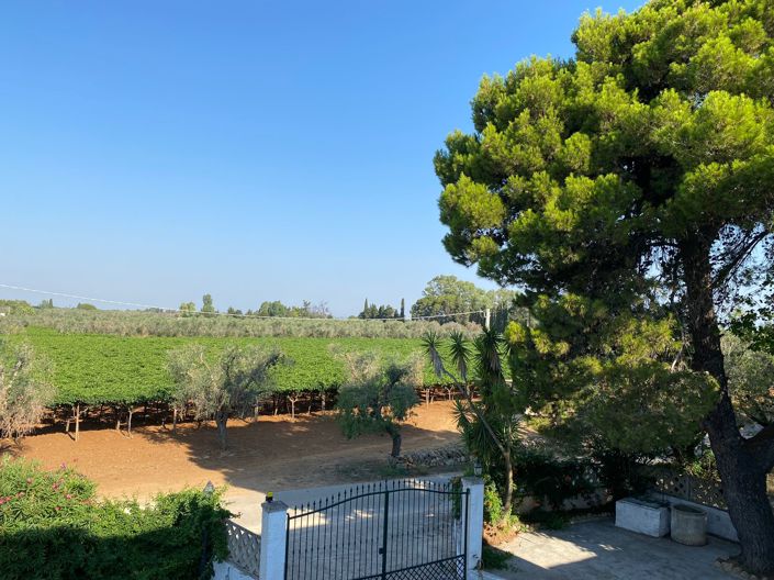 Image No.38-7 Bed Property for sale