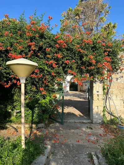 Image No.39-7 Bed Property for sale