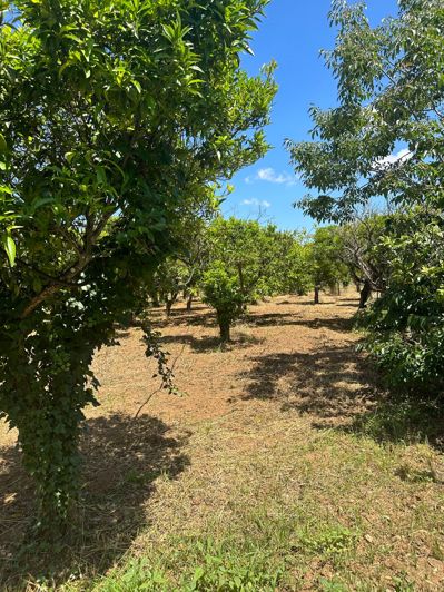 Image No.41-7 Bed Property for sale