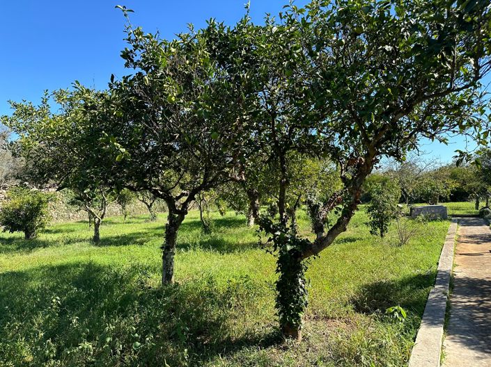 Image No.44-7 Bed Property for sale