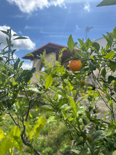 Image No.27-6 Bed Property for sale