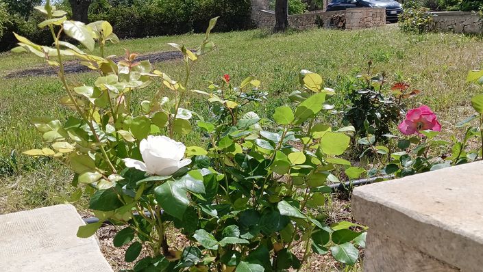 Image No.30-6 Bed Property for sale